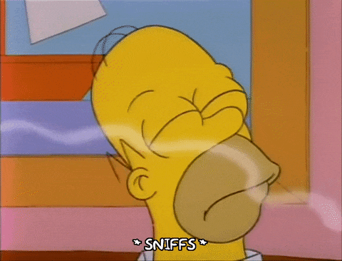 1678881462436.gif