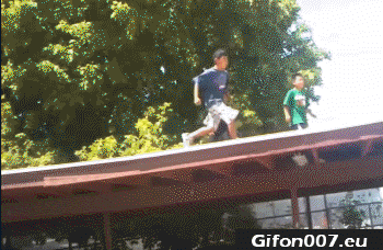 835CF25E-86E2-448D-93C2-03CE7C3B3CC4.gif