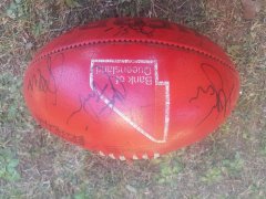 20170115_152702.jpg